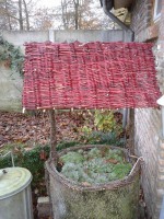 /album/knutsels/mieke-3-jpg/